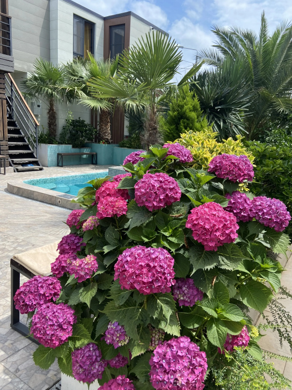 Hotel photo 46