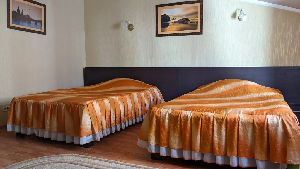Standard Double room (twin beds)