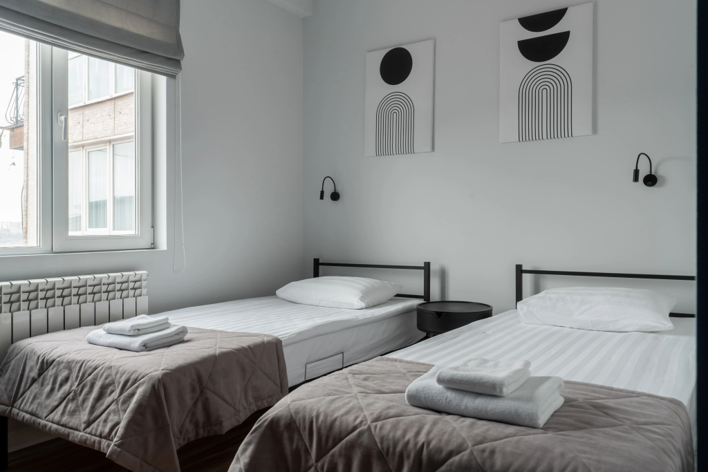 Standard Double room with city view (twin beds)