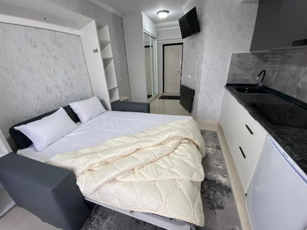 Best House Almaty Flat