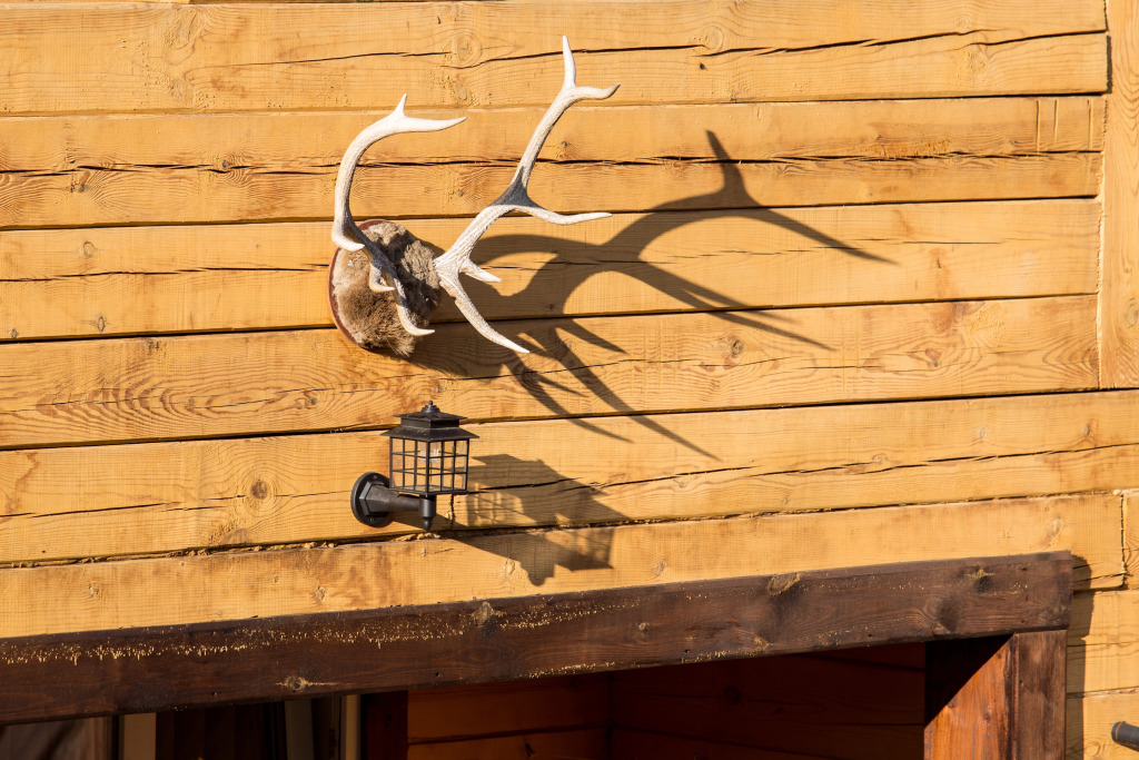 Отель Даурия - фото 9