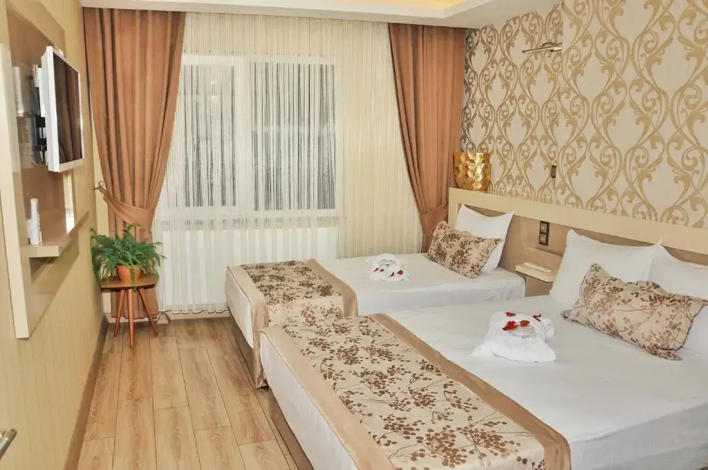 Standard Double room (twin beds)