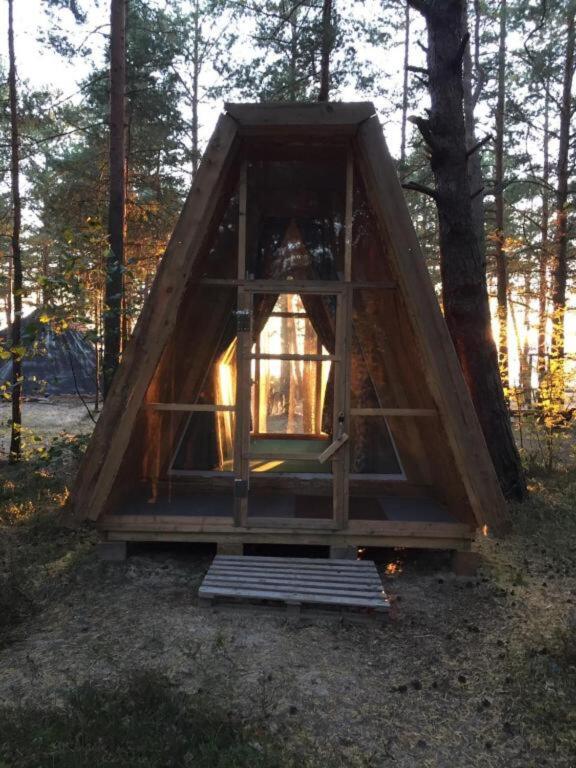 Wind Hunters Surf Station Сосновый