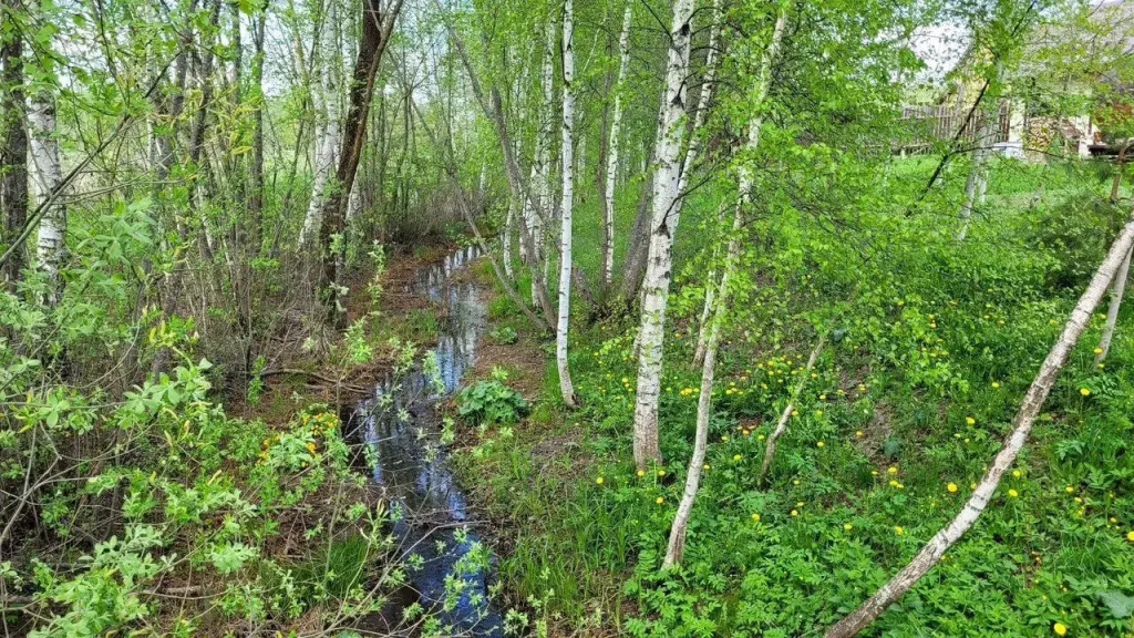 Гостевой дом Воздух с баней и с горячей купелью Фурако. - фото 37