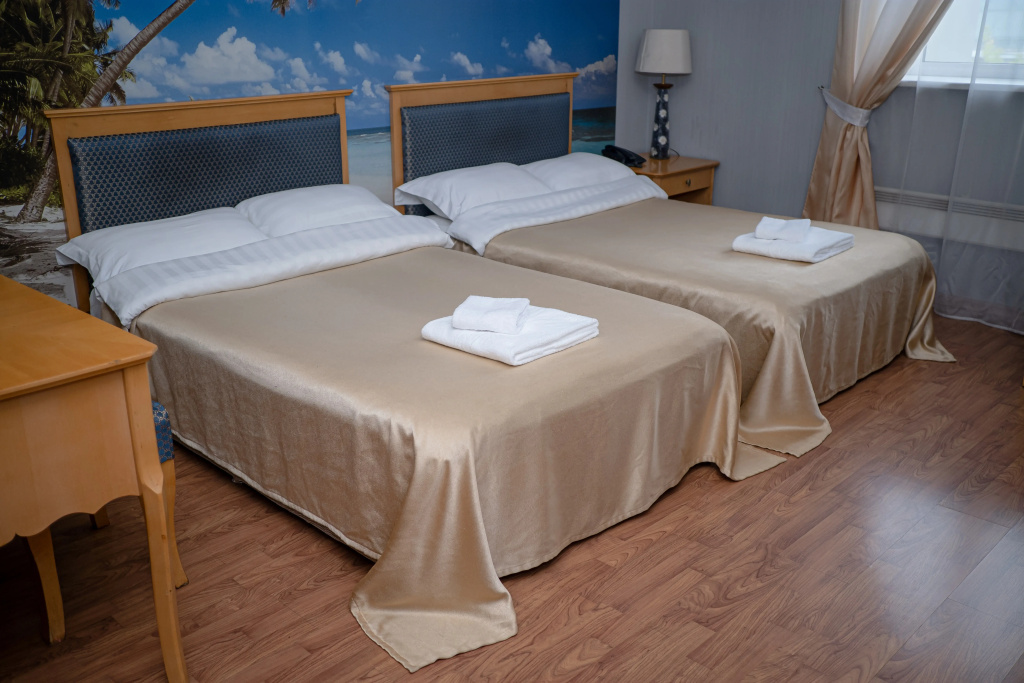 Standard Double room (twin beds)