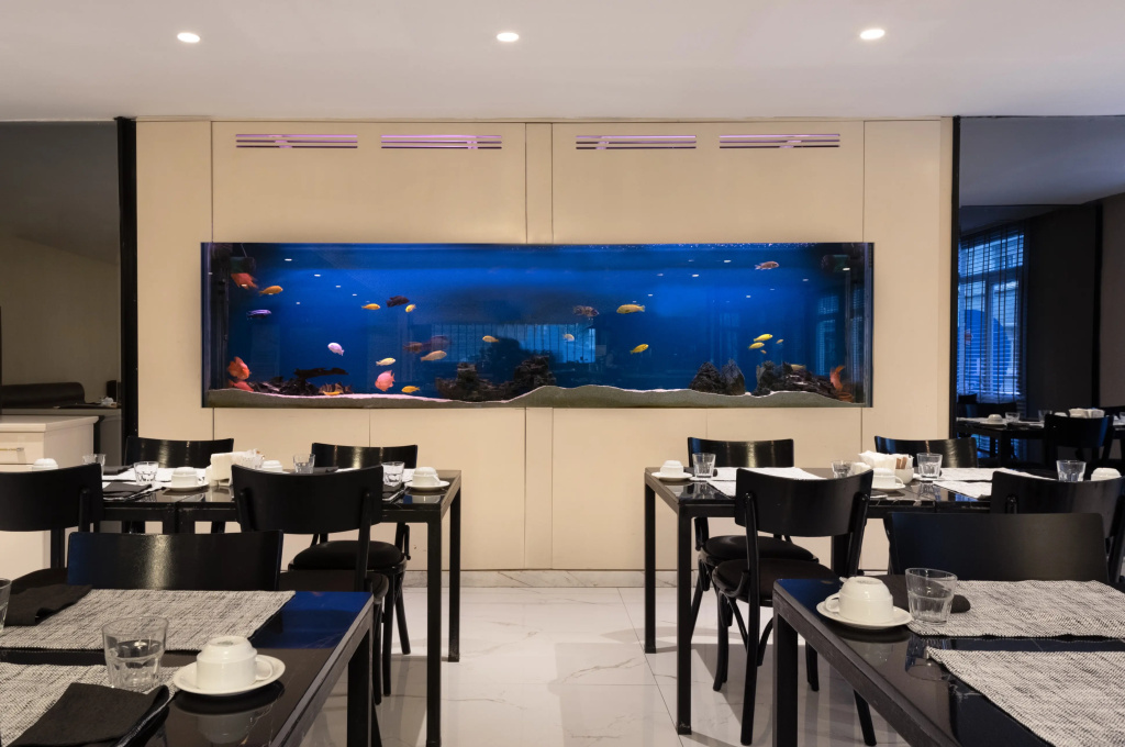 Golden City Hotel Istanbul — Стамбул, Туреччина мініатюра 11