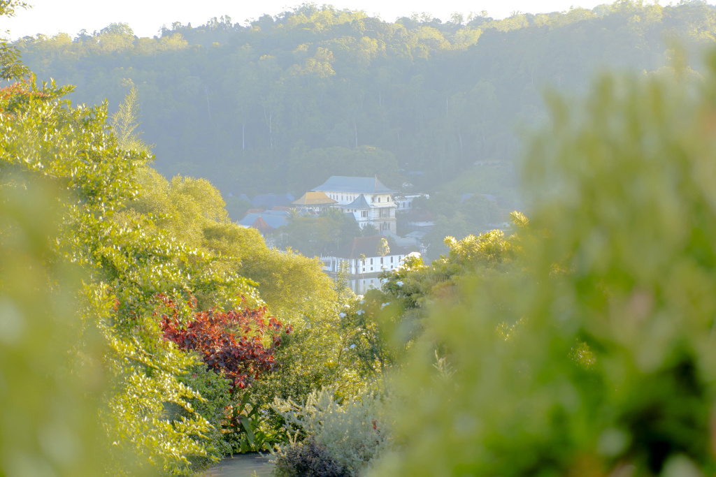 Castle Hill Bungalow Boutique Hotel