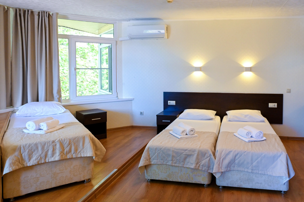 Standard Triple room