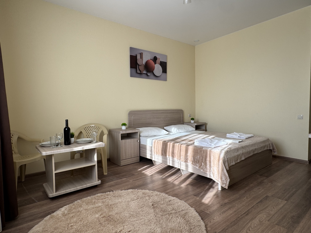 Standard Double room (full double bed)