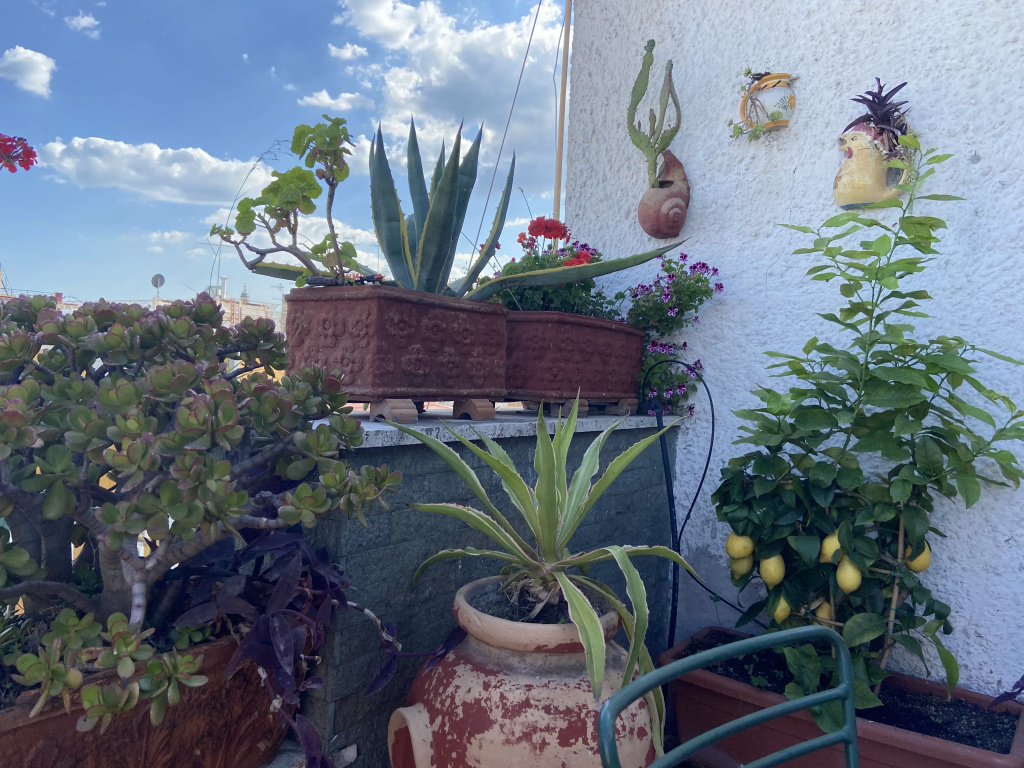 Hotel photo 26
