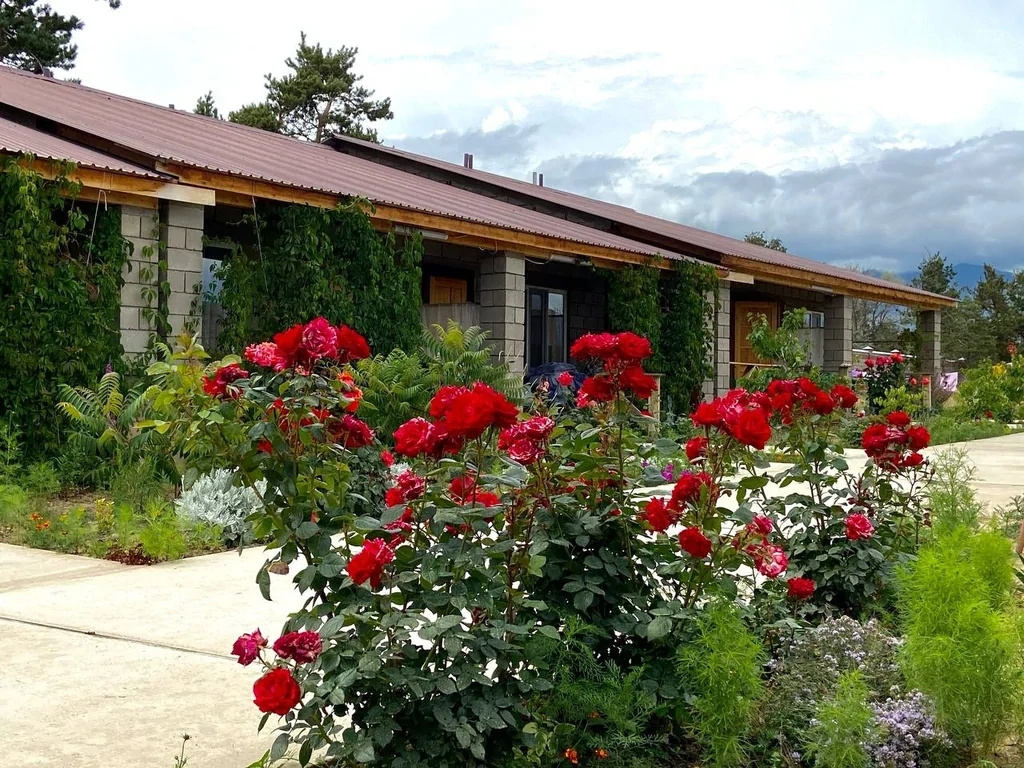 Abricos Guest House