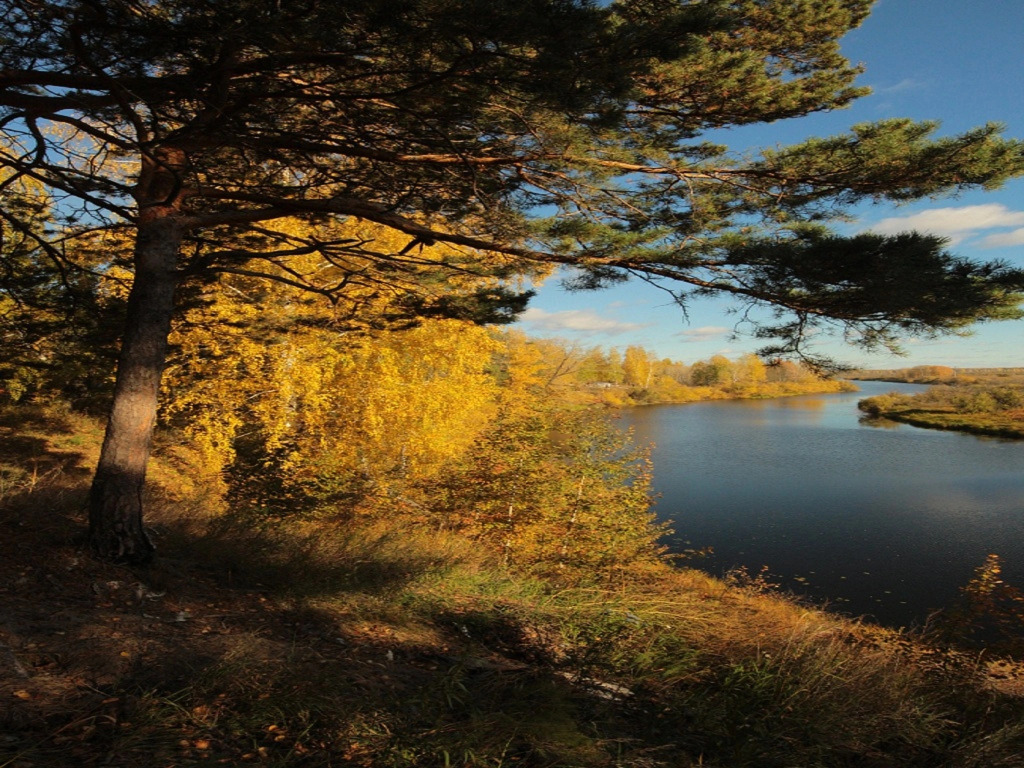 Гостиничный комплекс-музей Дом Пионеров - фото 14