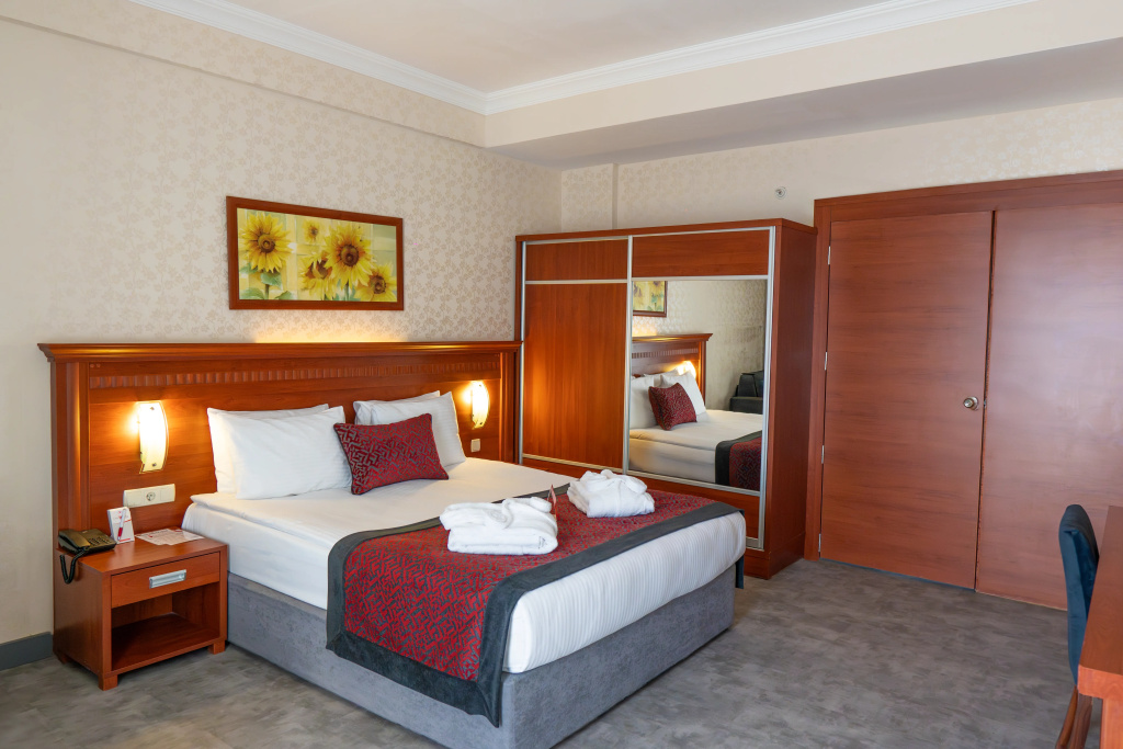 Standard room with land view