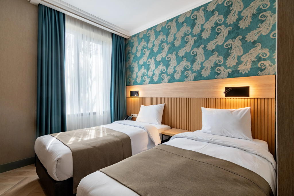 Superior Double room (twin beds)