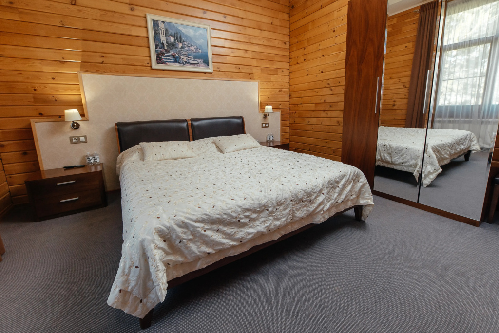 Zarechye Hotel Room Type - Standard Double room full double bed