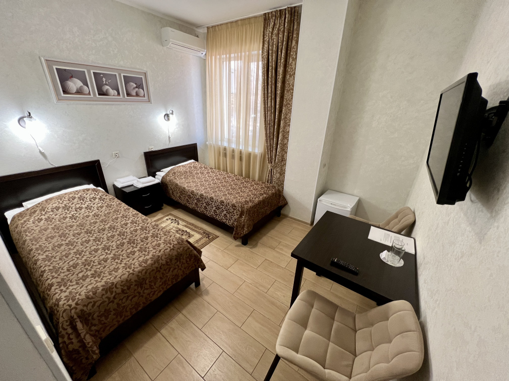 Standard Double room (twin beds)
