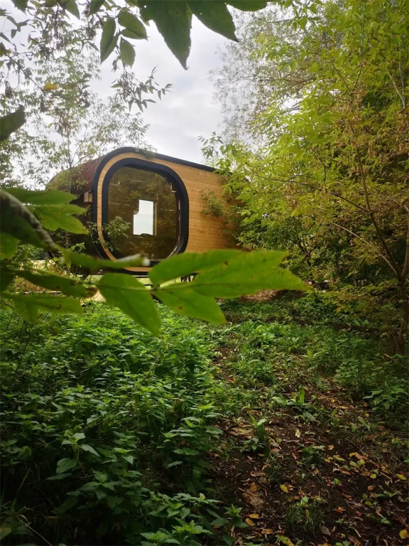 Gostinitsa Gulyay-Gorod Camping Room Type - In the forest Capsule with view