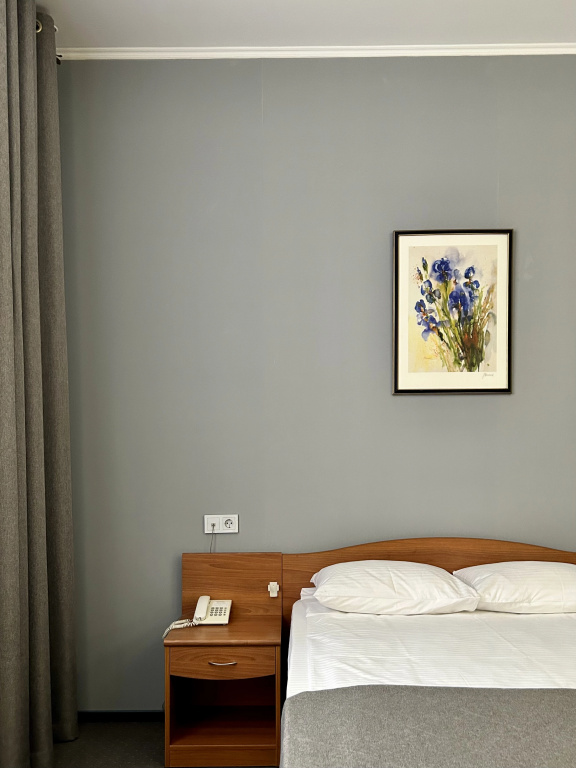 Comfort Double room (full double bed)