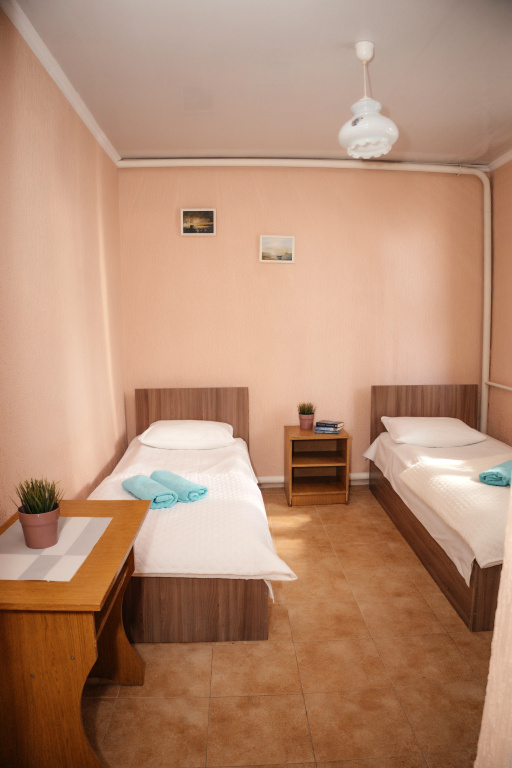 Economy Double room (twin beds)