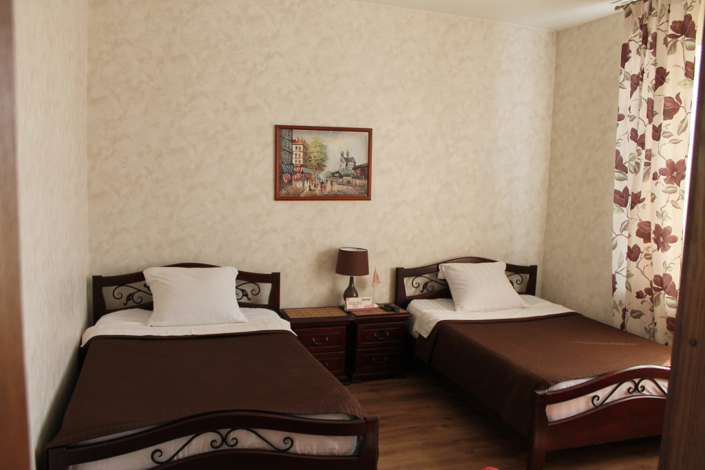 Razgulyaj Hotel Room Type - Standard Double room twin beds