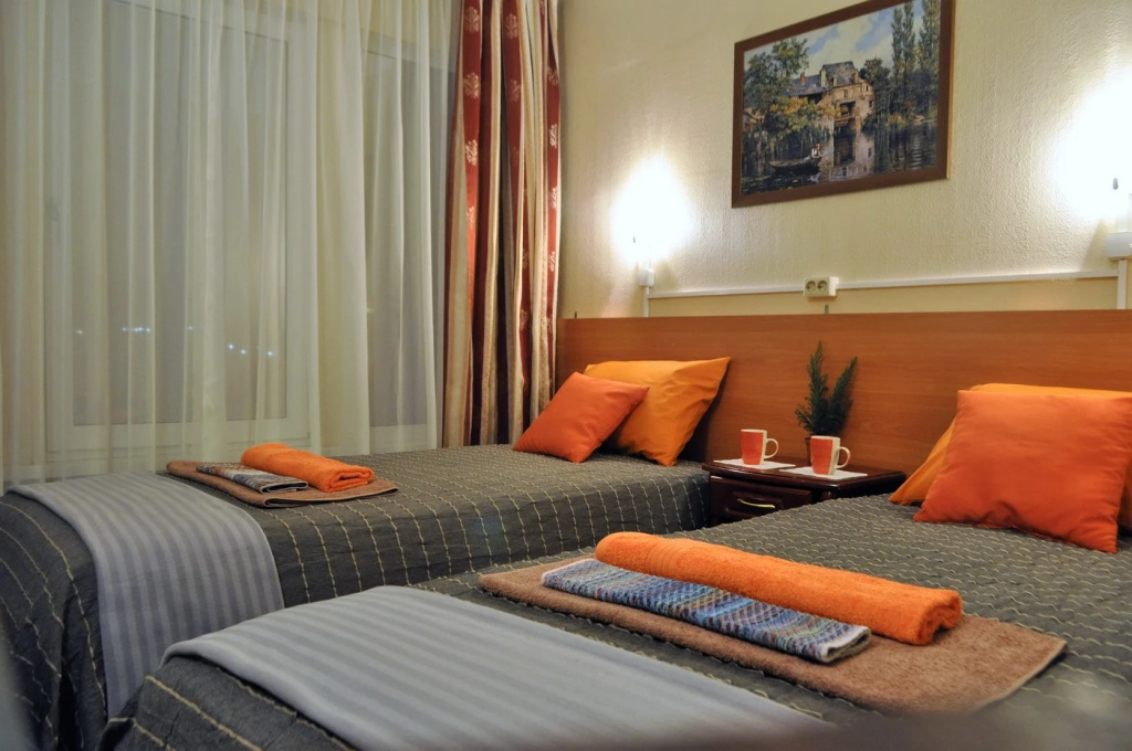 Superior Double room (twin beds)