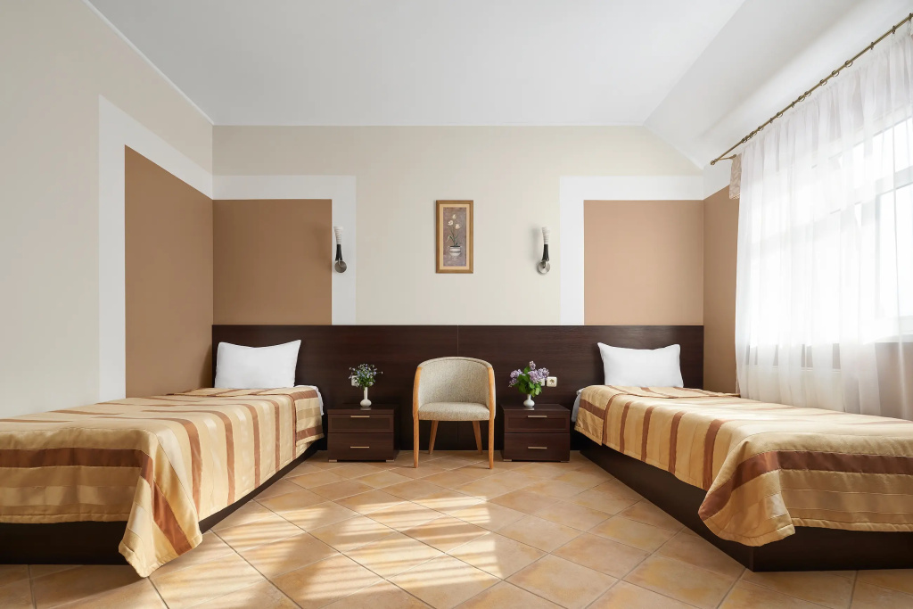 Standard Double room (twin beds)