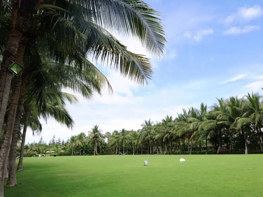 Sofitel Sanya Leeman Resort Hotel - Général