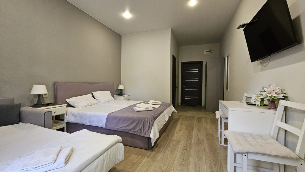 Standard Double room with balcony and with park view (full double bed)