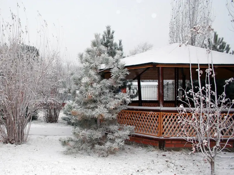 Отель Плес - фото 9