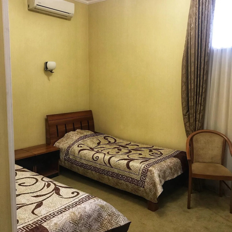 Standard Double room (twin beds)