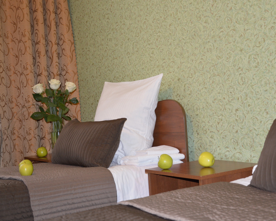 Standard Double room (twin beds)