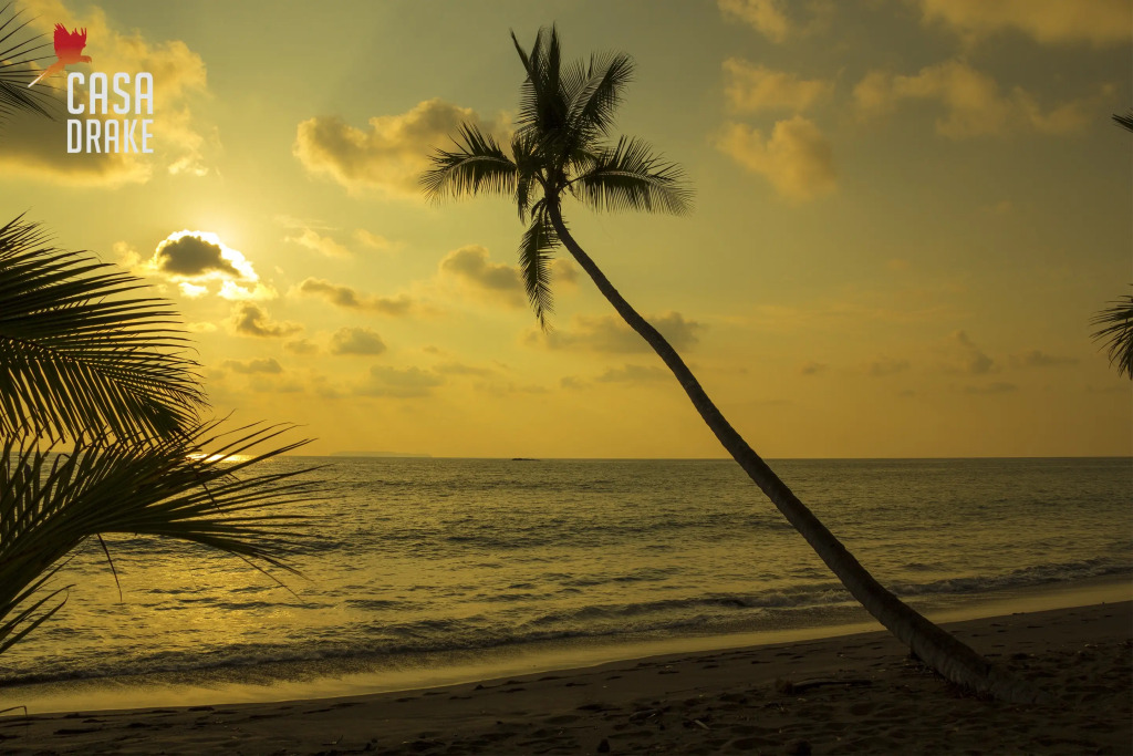 Отель Casa Drake Lodge - фото 13