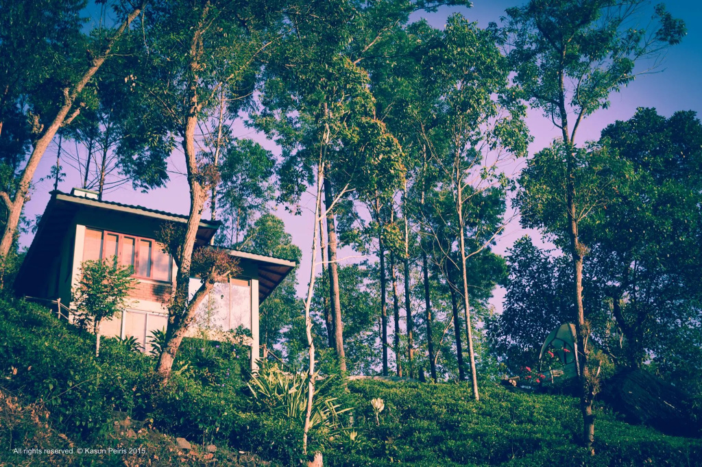 The Tea Cottage Resort & Spa