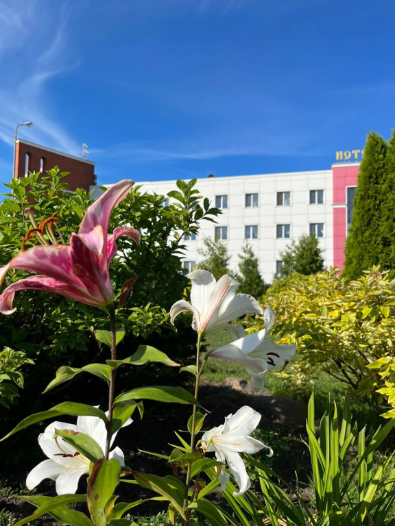 Отель Ярославское Подворье - фото 41