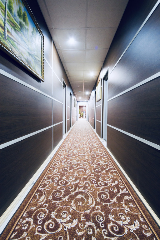 Отель Сибирь - фото 14