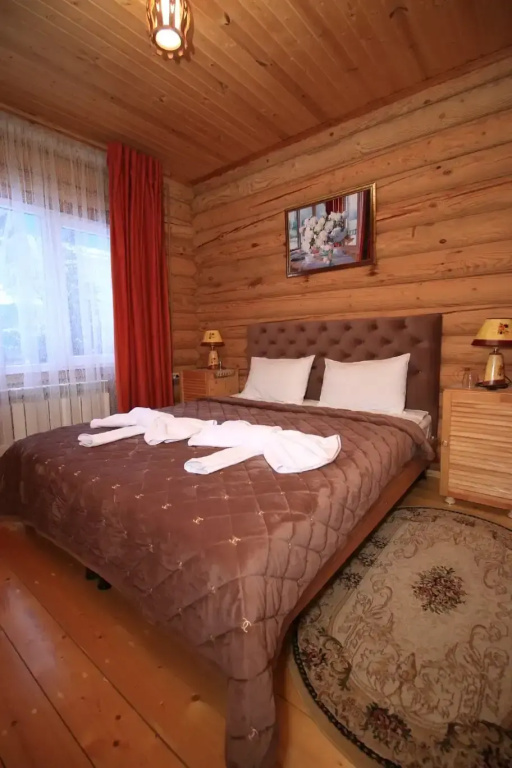 Standard Double room with mountain view (full double bed)