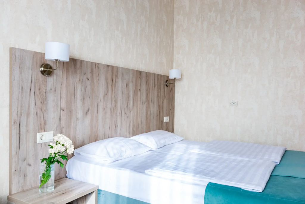 Standard Superior Double room (twin beds)