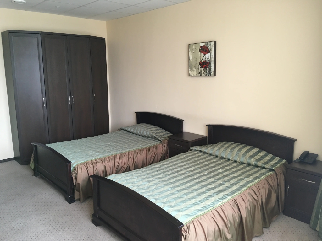 Superior Double room (twin beds)