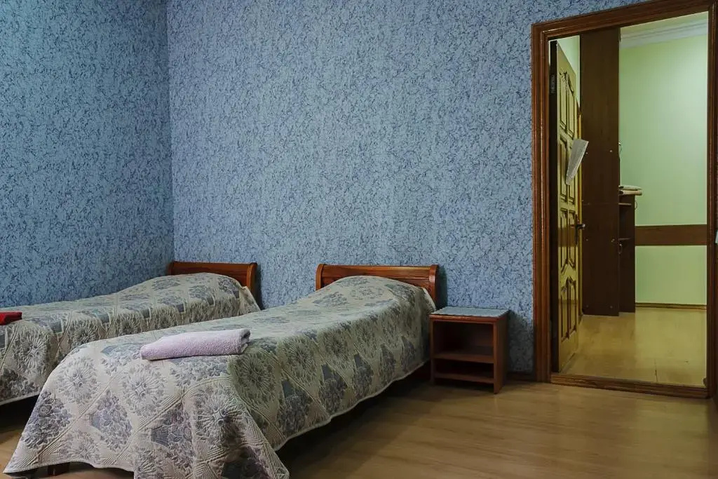 Economy Double room (full double bed)
