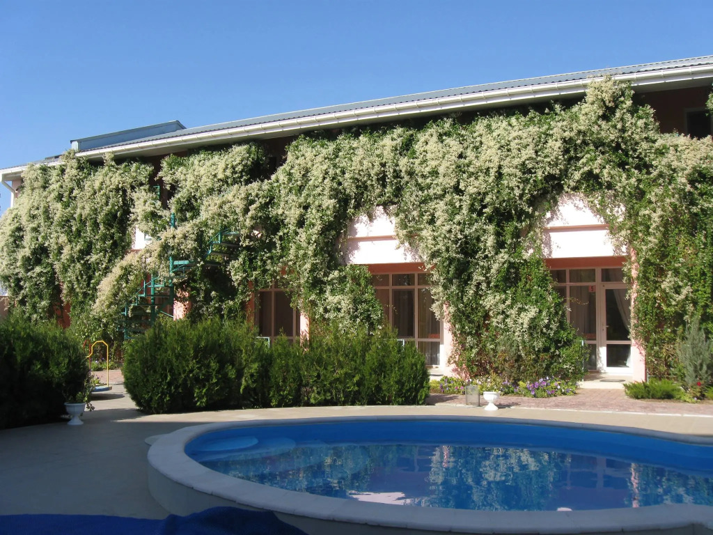 Меблированные комнаты Гринвич - фото 22