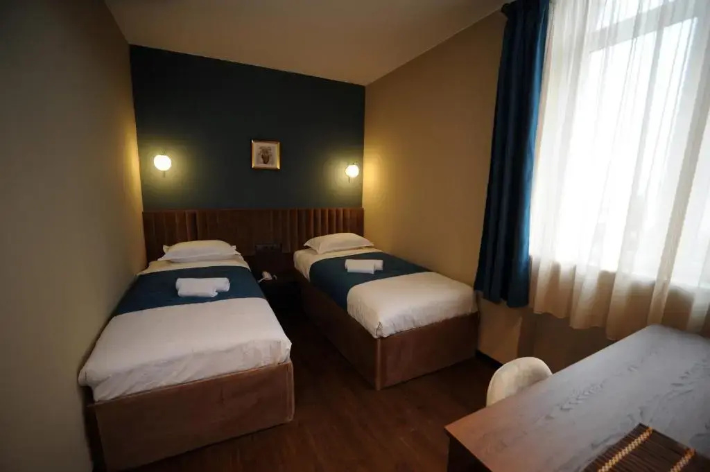 Standard Double room with view (twin beds)