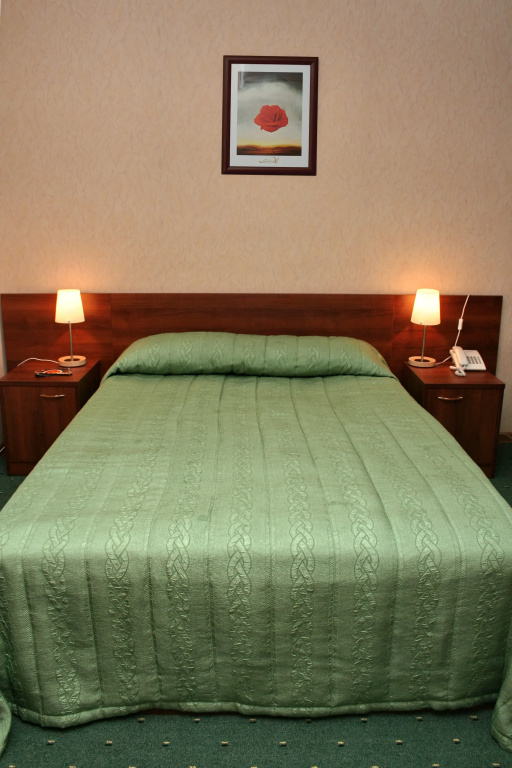 Comfort Double room (full double bed)