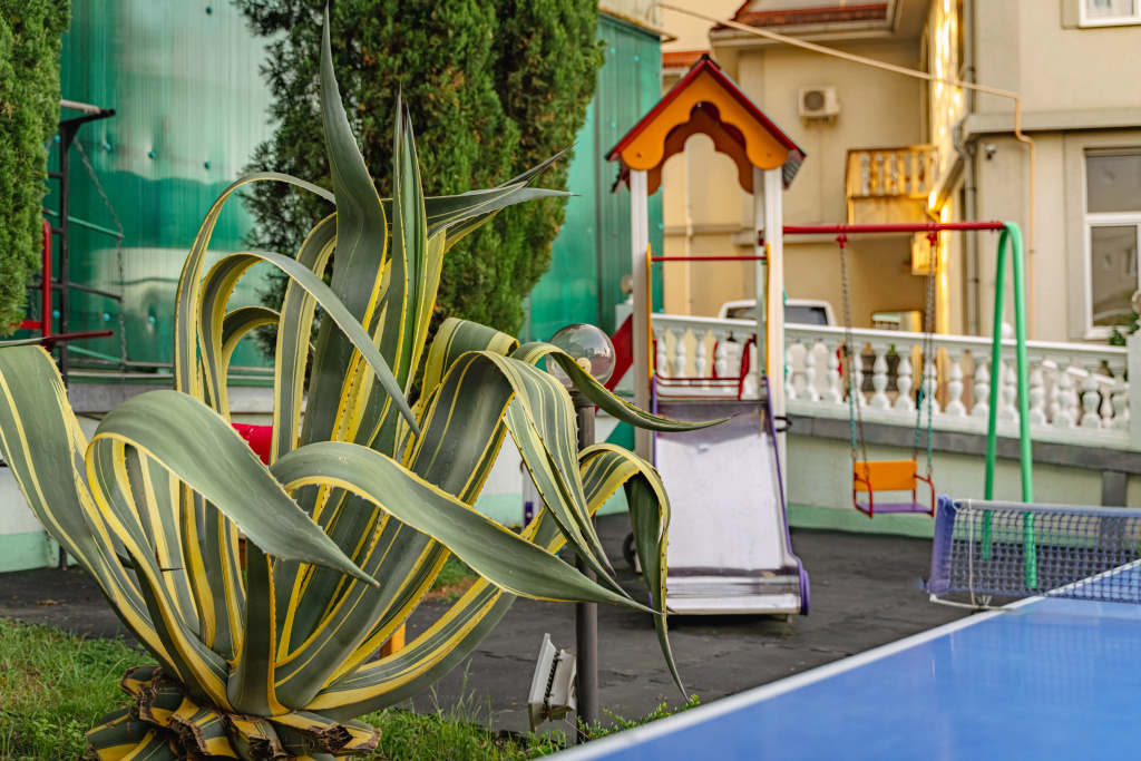 Hotel photo 10