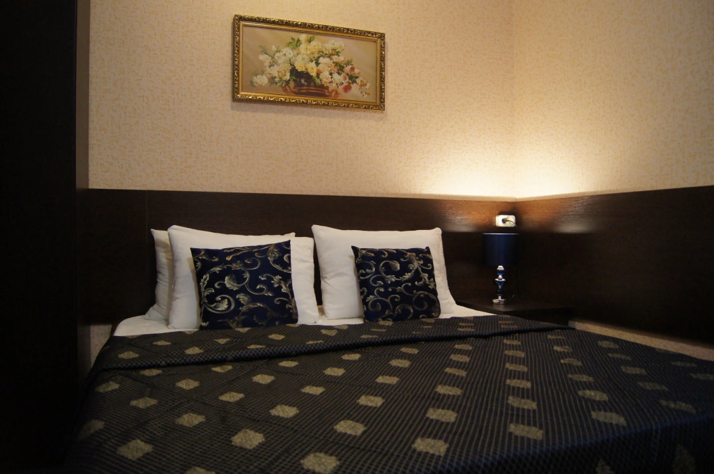 Standard Double room with balcony (full double bed)
