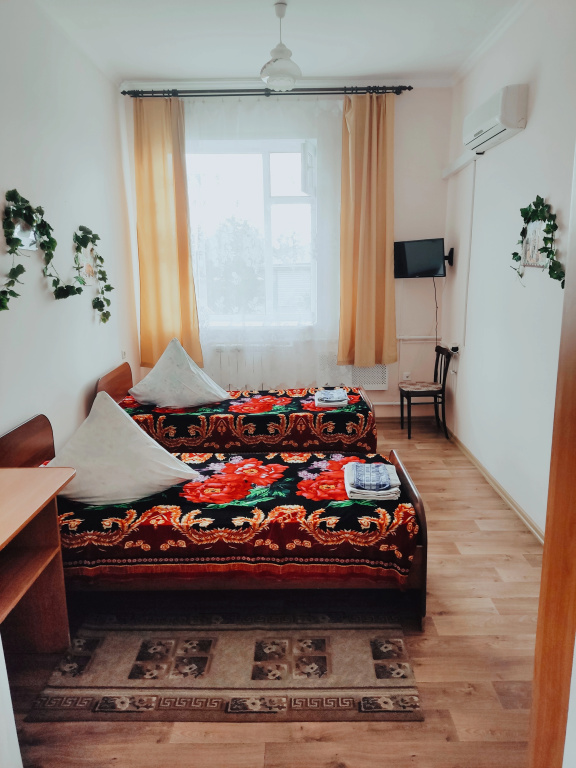Economy Double room (twin beds)