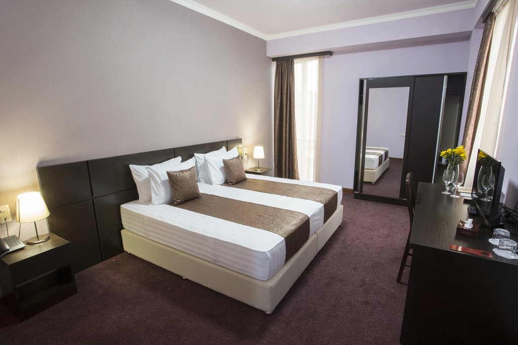 Ani Central Inn Hotel - Chambres