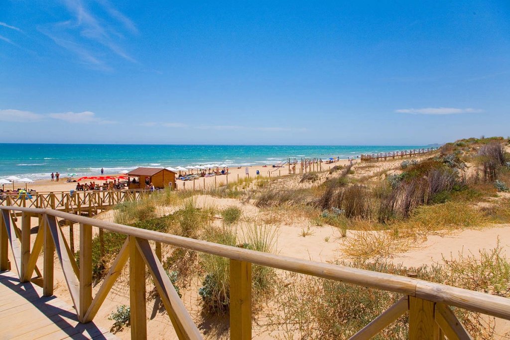 Beach & Waterfront