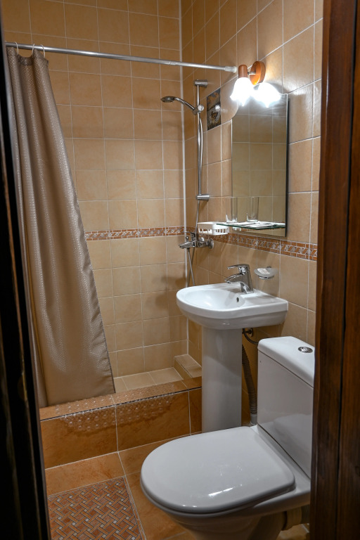 Отель Миснэ - фото 23