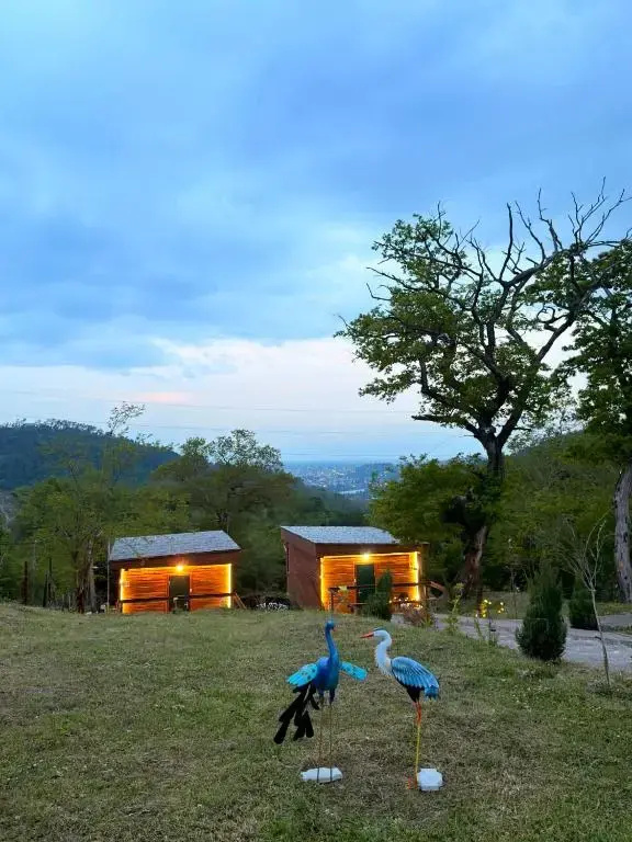 Hotel Windy hills