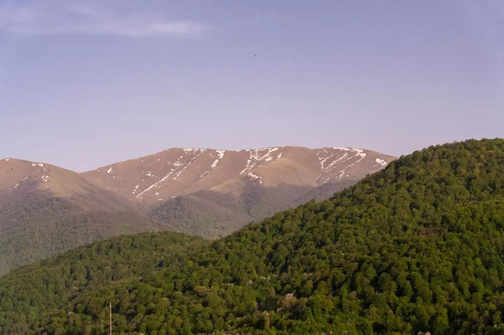 Курортный отель Motives Inn Dilijan - фото 11